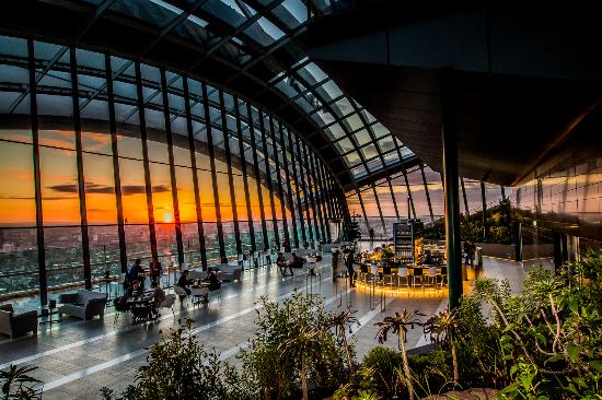 palmiarnia sky garden